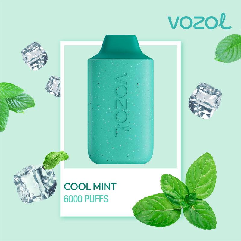 vozol-6000-cool-mint vozol 6000 cool mint